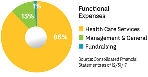 2017 functional expenses
