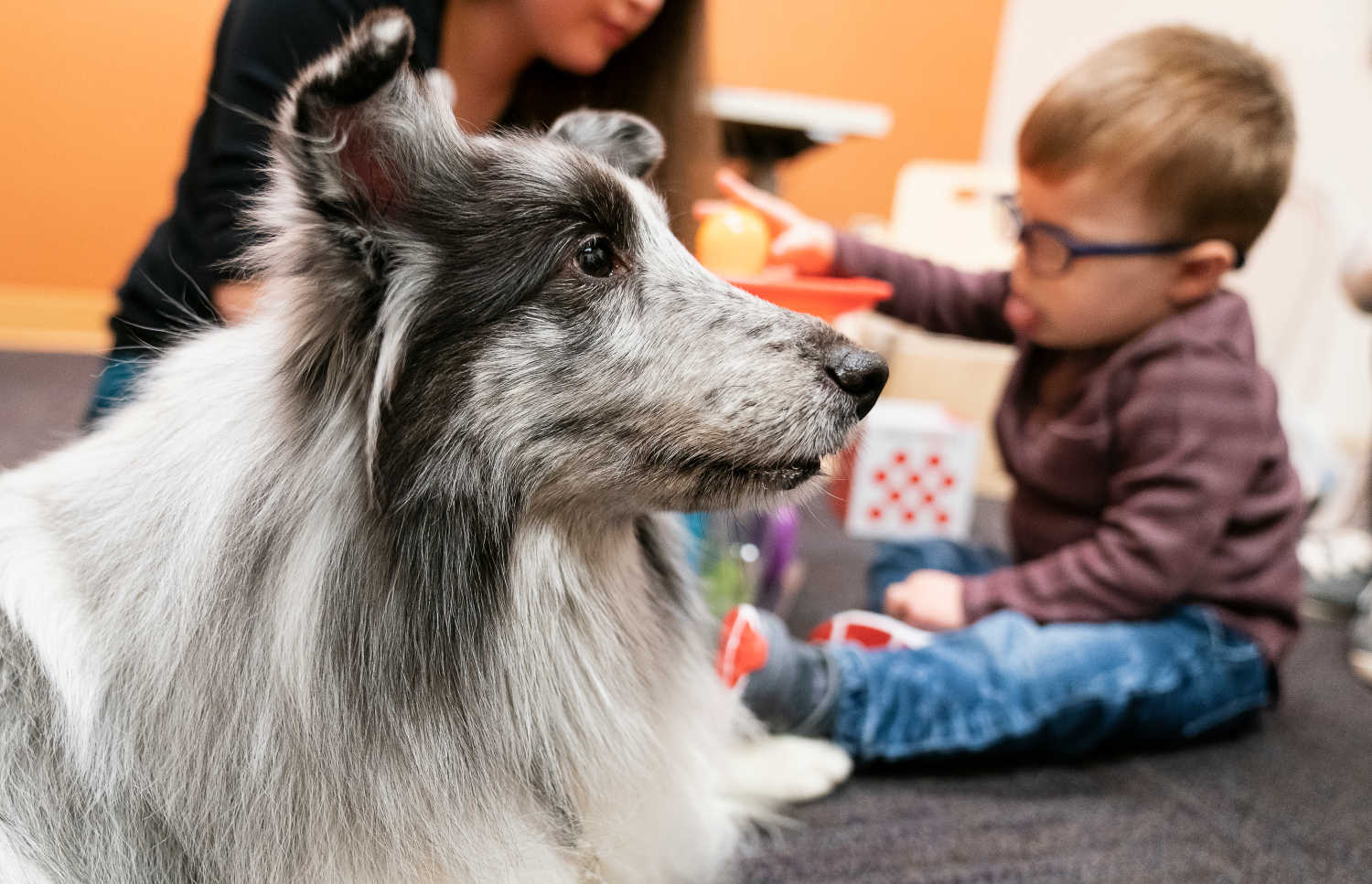 Puppies with Purpose: The Benefits of Animal-Assisted Therapy | Gillette |  Gillette Children's