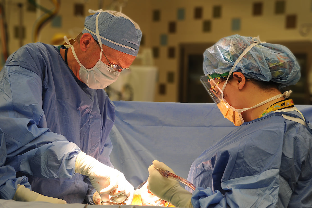 Dr. Koop performing surgery