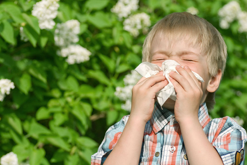 A boy sneezed outside near some flowers