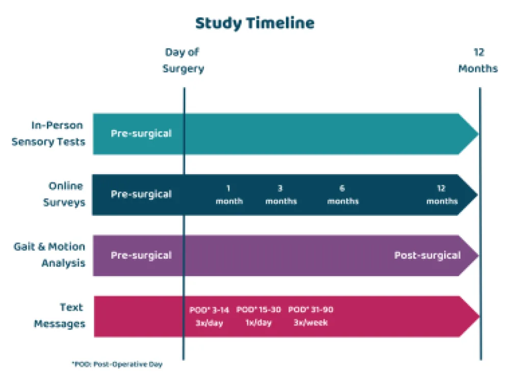 Predictors of Pain Research Timeline