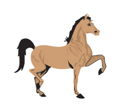 Horse arc