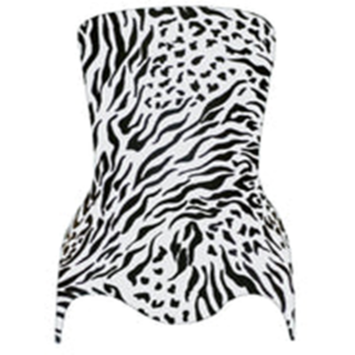 Zebra arc