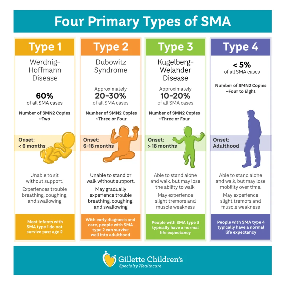 Graphic that shows four primary types of SMA with Gillette Children's.