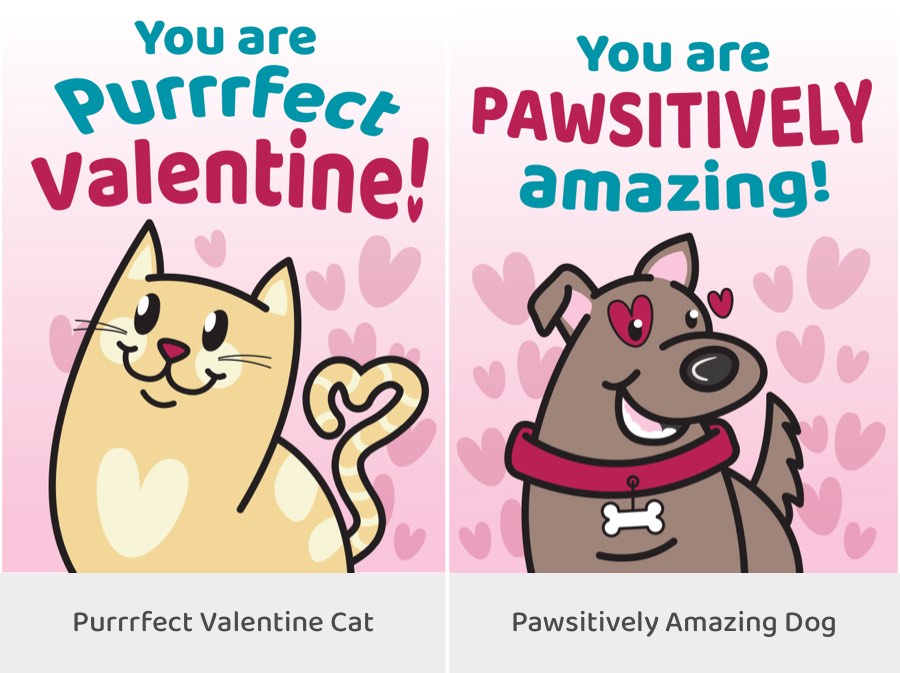 a cat with the phrase, you are purrfect valentine and a dog with the phrase, you are pawsitively amazing